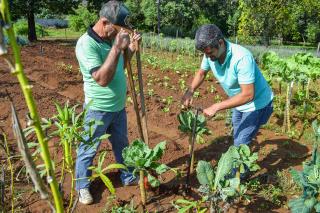 Com an&aacute;lise de solo gratuita, Prefeitura aprimora e fortalece a agricultura do munic&iacute;pio