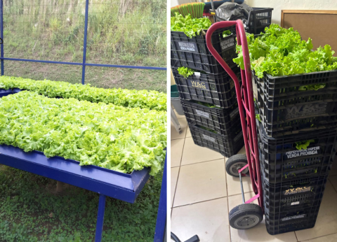 Parceria entre Prefeitura e SEG Automotive beneficia famílias com doação de alimentos