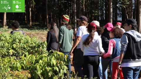 Educação Ambiental - O Berço da Floresta 01