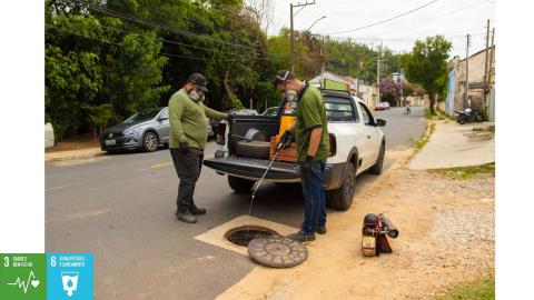 SAAE Detetização e Desratização 01