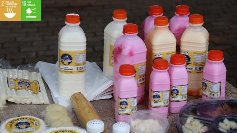 13ª Feira Rural 15