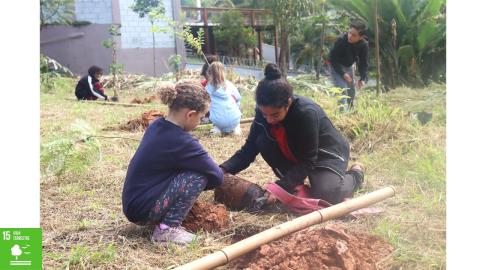 Plantio de Árvores - Semana Meio Ambiente 02