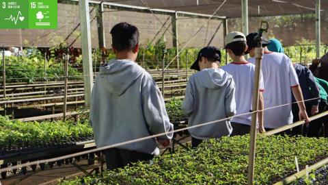 Educação Ambiental - O Berço da Floresta 02