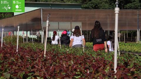 Educação Ambiental - O Berço da Floresta 03