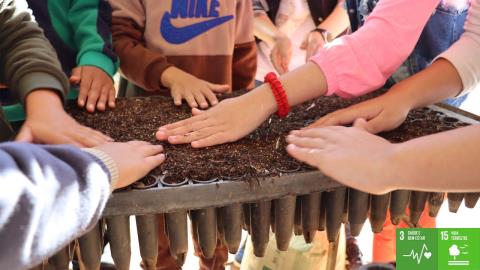 Educação Ambiental - O Berço da Floresta 04