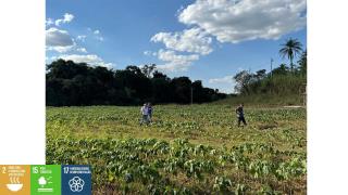 Pedreira - Ranking “Município Agro” (5)