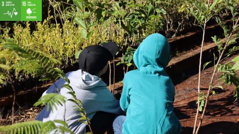 Educação Ambiental - O Berço da Floresta 06