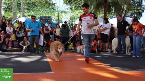 14ª Cãominhada (7)
