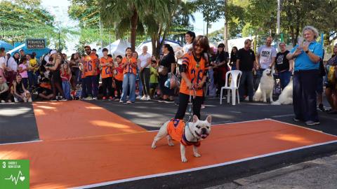 14ª Cãominhada (8)