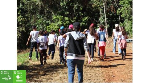 Educação Ambiental - O Berço da Floresta 09