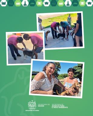 WhatsApp Image 2026-03-31 at 13.29.52 (1)