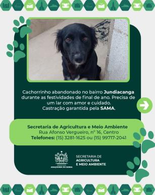 WhatsApp Image 2026-02-03 at 15.02.51 (1)