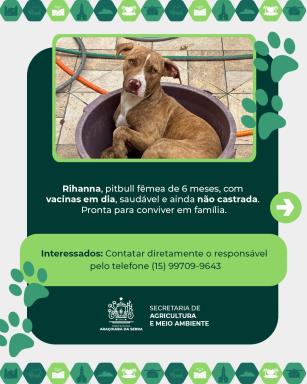 WhatsApp Image 2026-02-03 at 15.02.51 (2)