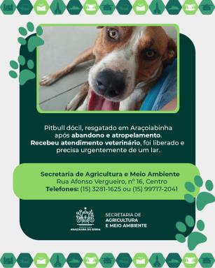 WhatsApp Image 2026-02-03 at 15.02.52