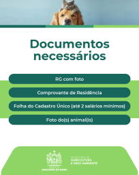 campanha castração 2