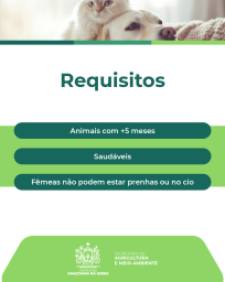 campanha castração 3