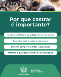 CAMPANHA POST 4