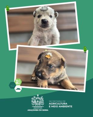 WhatsApp Image 2026-01-13 at 16.31.06