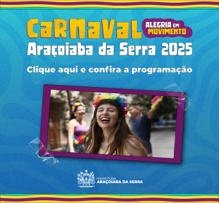 banner site carnaval