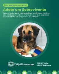 adote post