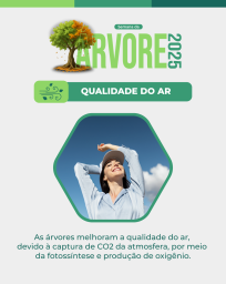 Arborização 2