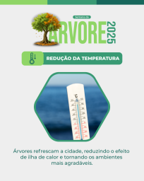 Arborização 3