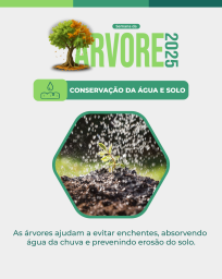 Arborização 5