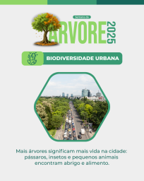 Arborização 6