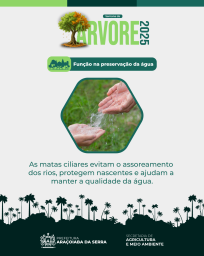 mata ciliar 3