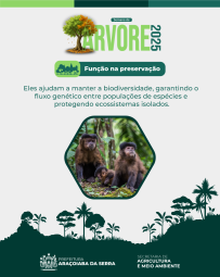 corredor ecologico 3