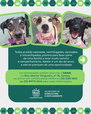 WhatsApp Image 2026-02-19 at 16.59.07 (1)