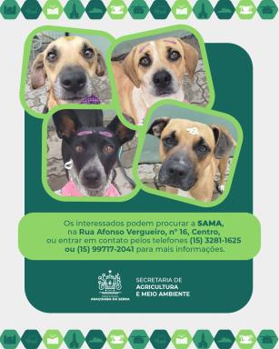 WhatsApp Image 2026-02-19 at 16.59.07 (2)