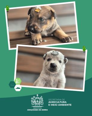 WhatsApp Image 2026-01-21 at 14.05.15