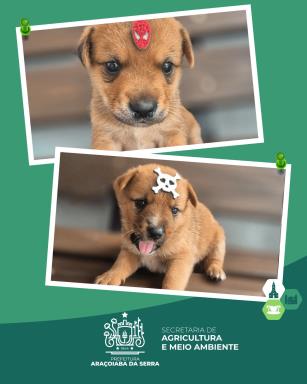 WhatsApp Image 2026-01-21 at 14.05.15 (1)