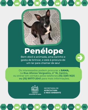 673763061_956994946883783_552168742952914124_n