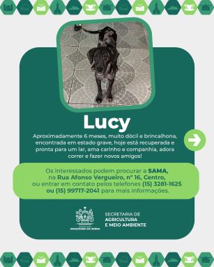 671413448_956994996883778_2229900019906697194_n