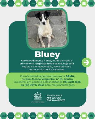 672680385_956995073550437_1694187945713335066_n