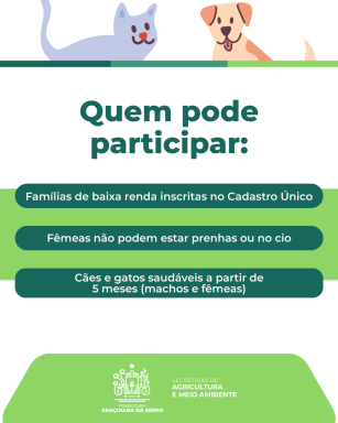 campanha castração 3 (1)