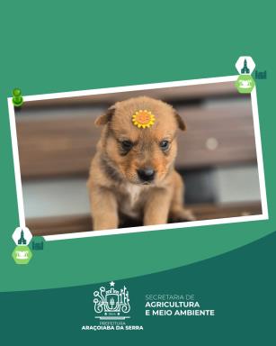 WhatsApp Image 2026-01-26 at 14.15.40