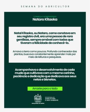 Prancheta 1 cópia-100