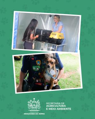 WhatsApp Image 2026-03-04 at 15.07.11 (2)