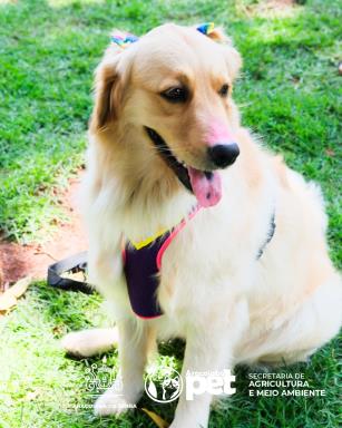 WhatsApp Image 2026-03-10 at 11.26.48 (3)