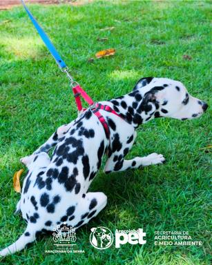 WhatsApp Image 2026-03-10 at 11.26.50