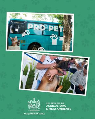 WhatsApp Image 2026-03-04 at 15.07.11 (1)