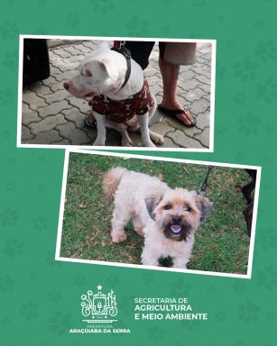 WhatsApp Image 2026-03-04 at 15.07.11