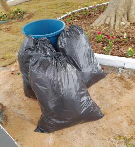 operação de limpeza no Cemitério Municipal. 3