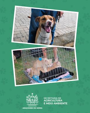 WhatsApp Image 2026-03-04 at 15.07.10 (1)