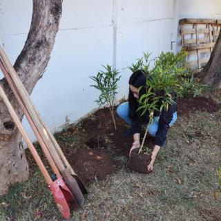 técnicas de jardinagem