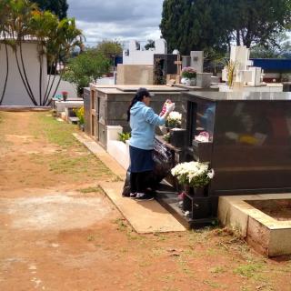 operação de limpeza no Cemitério Municipal. 6