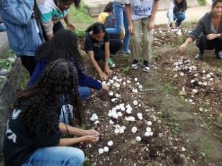 educação ambiental (1)